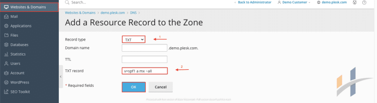 SPF Domain Record Plesk