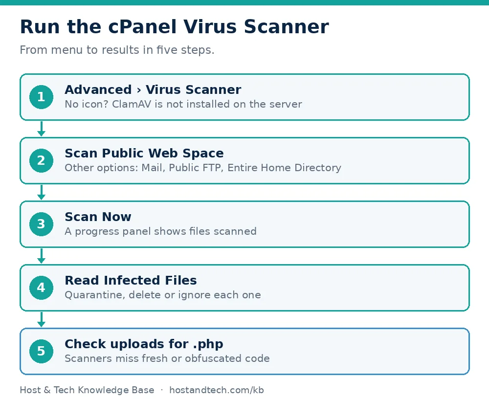 Diagram of the cPanel path Advanced, Virus Scanner, Scan Public Web Space, Scan Now, then Infected Files